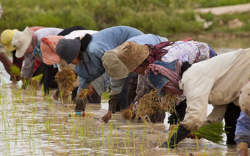 Will new NGO law in Cambodia curtail foreign investment?