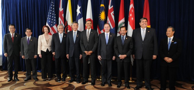 TPP interim assessment