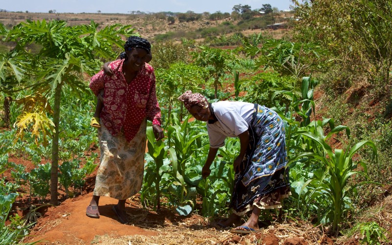 Economic integration in East Africa will prove challenging