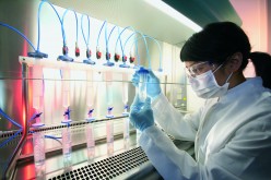 ‘Cloned in China’: Beijing aims for biotech dominance