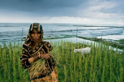 The economic impact of climate change in Southeast Asia