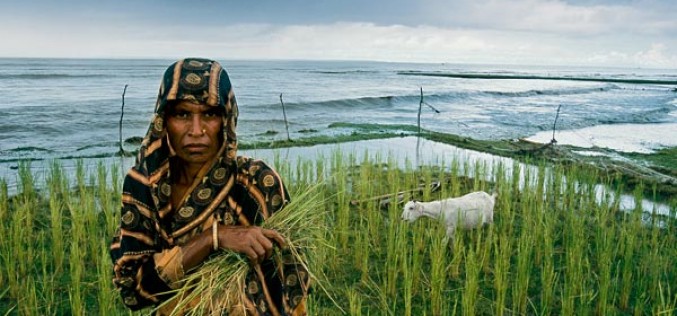 The economic impact of climate change in Southeast Asia