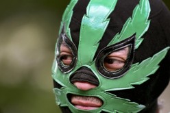 Mexico court ruling hints at marijuana policy change
