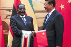 Zimbabwe adopts yuan as legal tender