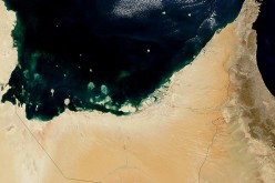 Meeting future energy challenges: diversification and policy shifts in the UAE