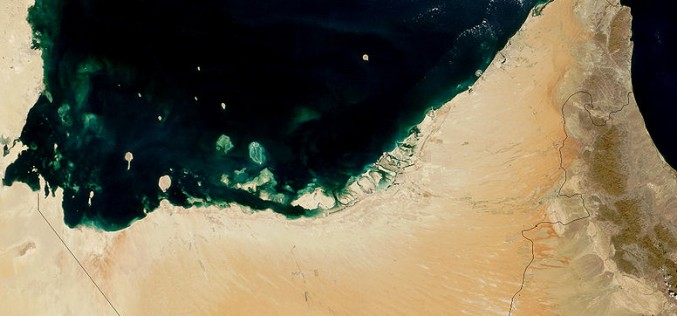 Meeting future energy challenges: diversification and policy shifts in the UAE