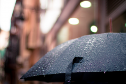 A primer on political risk insurance