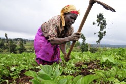 These are Sub-Saharan Africa’s 3 brightest spots for doing business