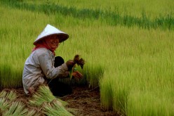 Risks to China’s grand strategy in Southeast Asia