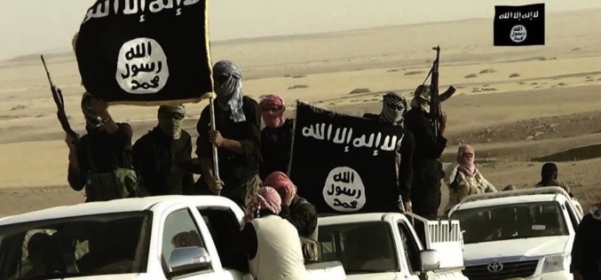 The strategy behind single-assailant terrorist attacks