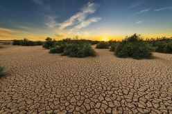 The economic implications of global water scarcity