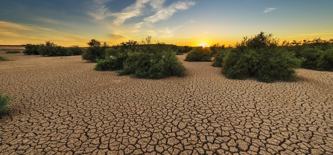 The economic implications of global water scarcity