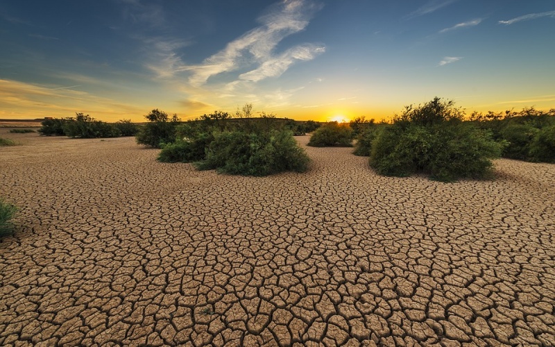 The economic implications of global water scarcity