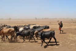 Under the Radar: Could food shortages topple Tanzania?