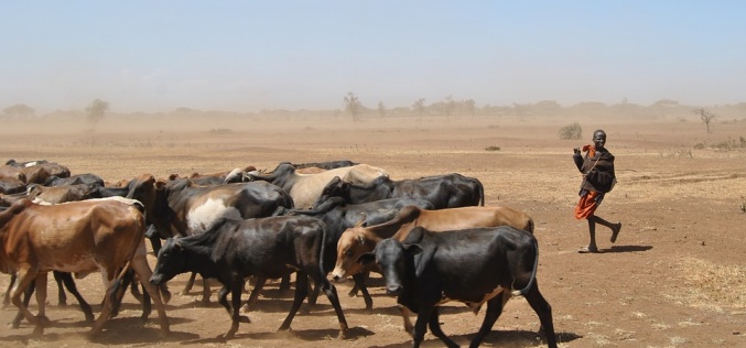 Under the Radar: Could food shortages topple Tanzania?
