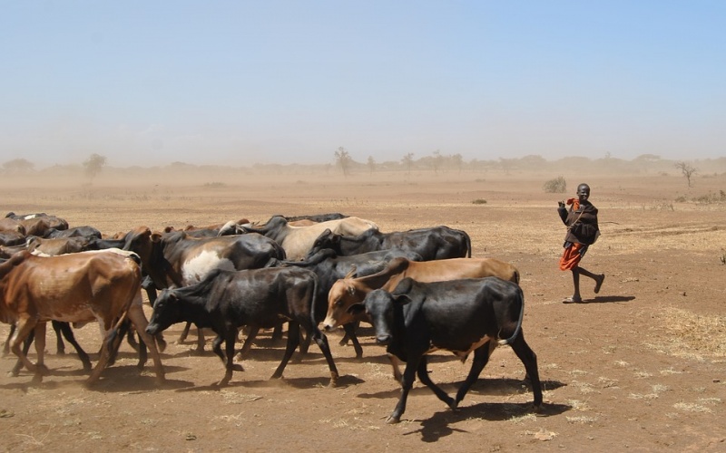 Under the Radar: Could food shortages topple Tanzania?