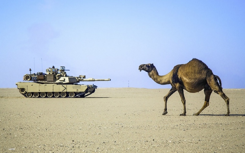2017 Preview: Oman threatened as risks multiply