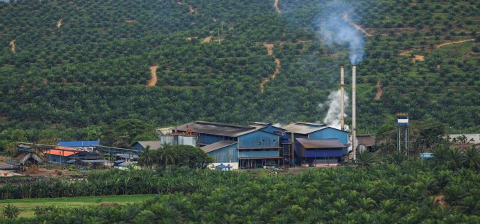 Indonesian and Malaysian palm oil at a crossroads