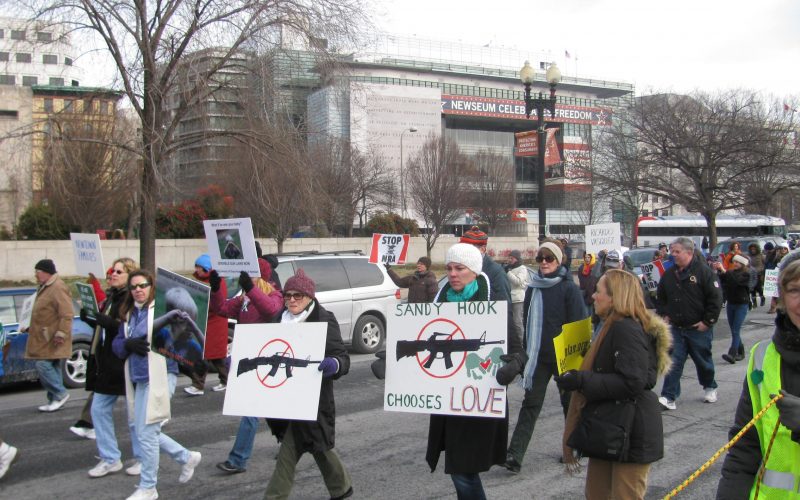 Economic impact should not deter US gun control efforts