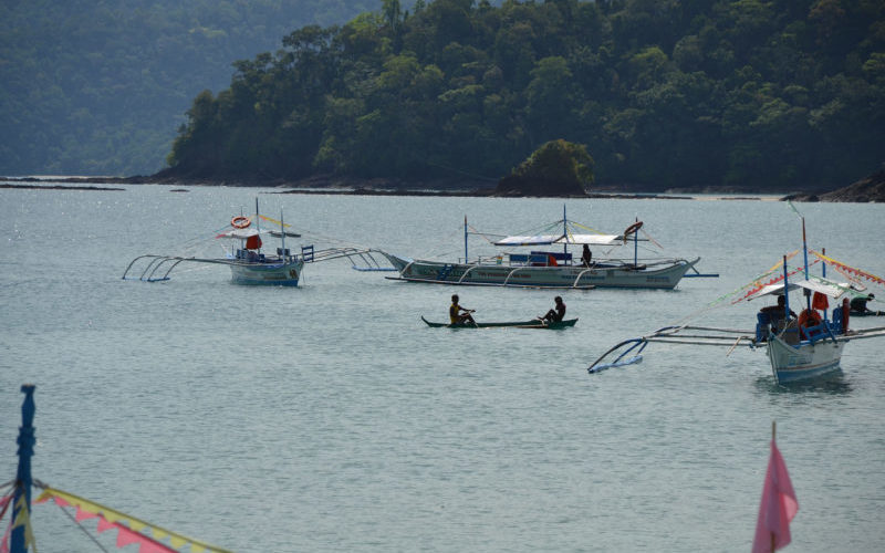 Catch-22 in the South China Sea: why preserving fish stocks is key to a resolution