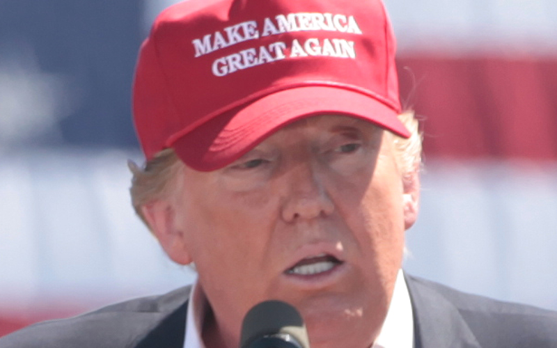 Will the US midterms spell the end of #MAGA?