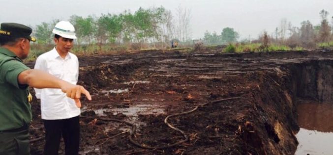 Infrastructure setbacks in Indonesia reflect broader risks