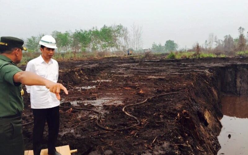 Infrastructure setbacks in Indonesia reflect broader risks