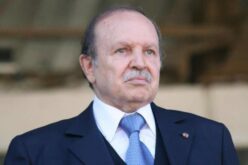 Round Five for President Bouteflika?