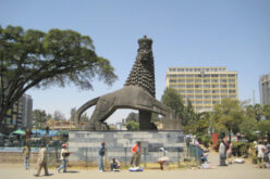 Ethiopia between risk and reform