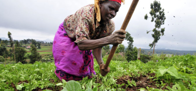 Intercommunal violence poses threat to Nigeria’s economy