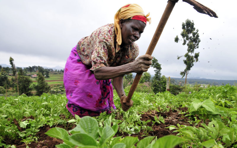 Intercommunal violence poses threat to Nigeria’s economy
