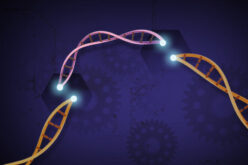 Gene-editing, security, and uncertainty