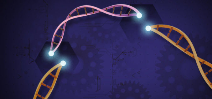 Gene-editing, security, and uncertainty