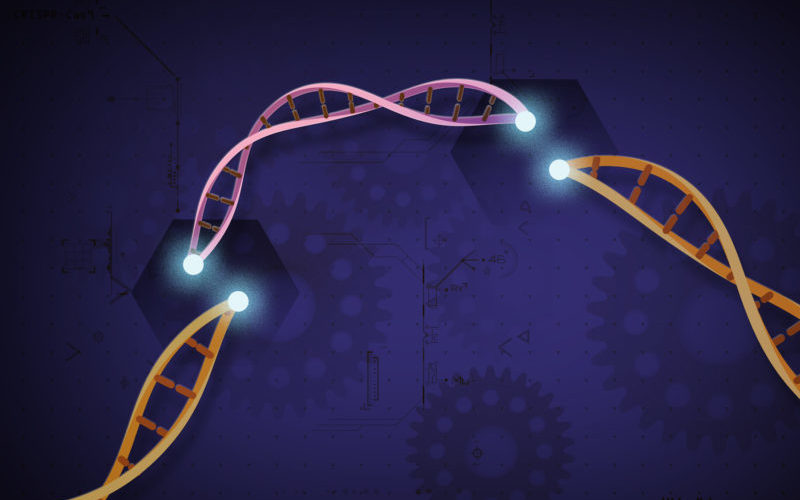Gene-editing, security, and uncertainty
