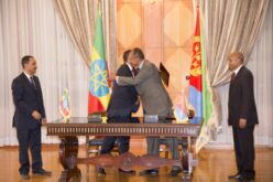 New alliances in the future of the Horn of Africa
