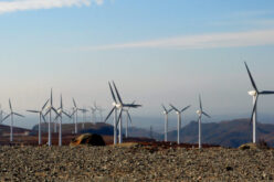Economic slowdown and China’s green future