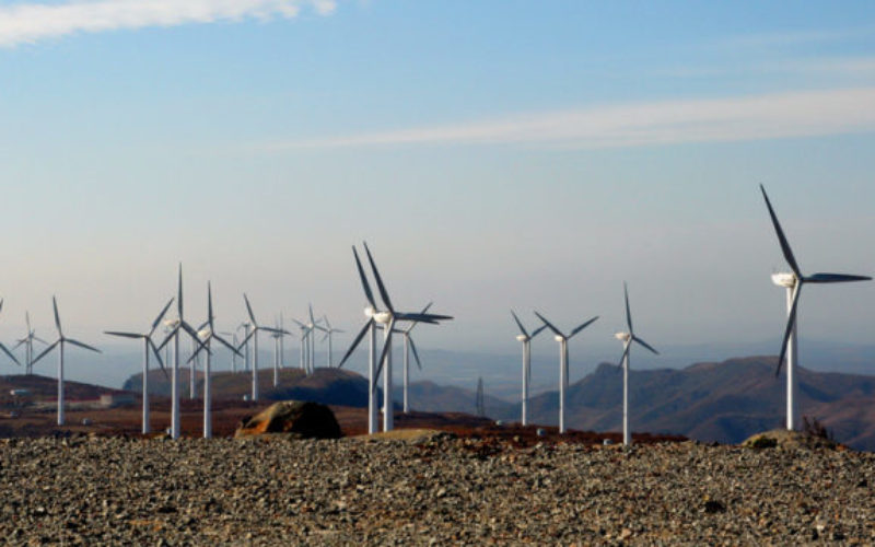 Economic slowdown and China’s green future