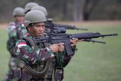 Papuan Separatists Unification Unlikely to Stabilize