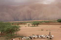 The Sahel Uncertainty: Climate change and Insurgency