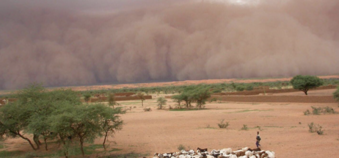 The Sahel Uncertainty: Climate change and Insurgency