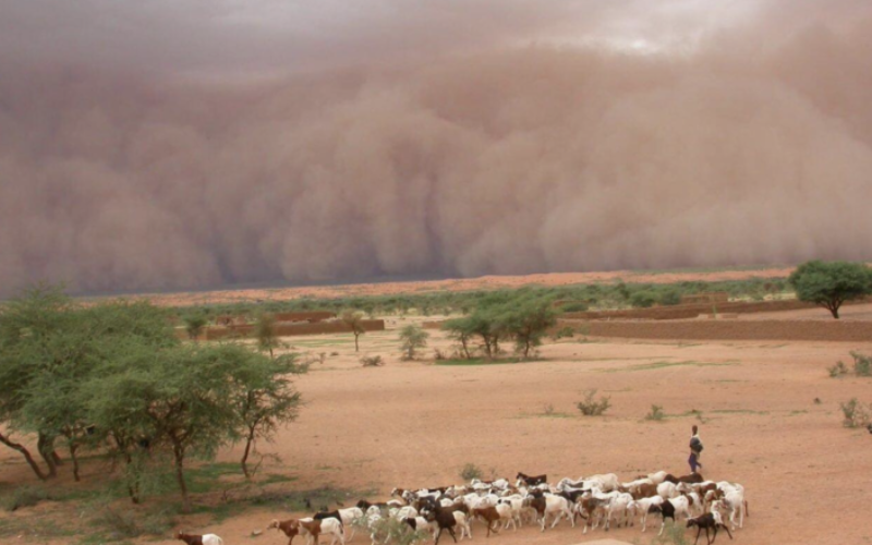 The Sahel Uncertainty: Climate change and Insurgency