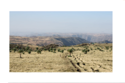 Ethiopia’s critical juncture: Ethnic tensions and liberal transition