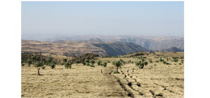 Ethiopia’s critical juncture: Ethnic tensions and liberal transition