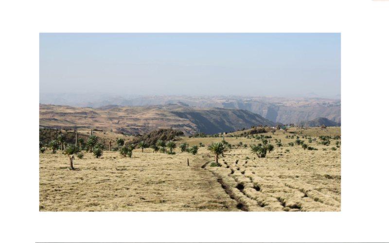 Ethiopia’s critical juncture: Ethnic tensions and liberal transition