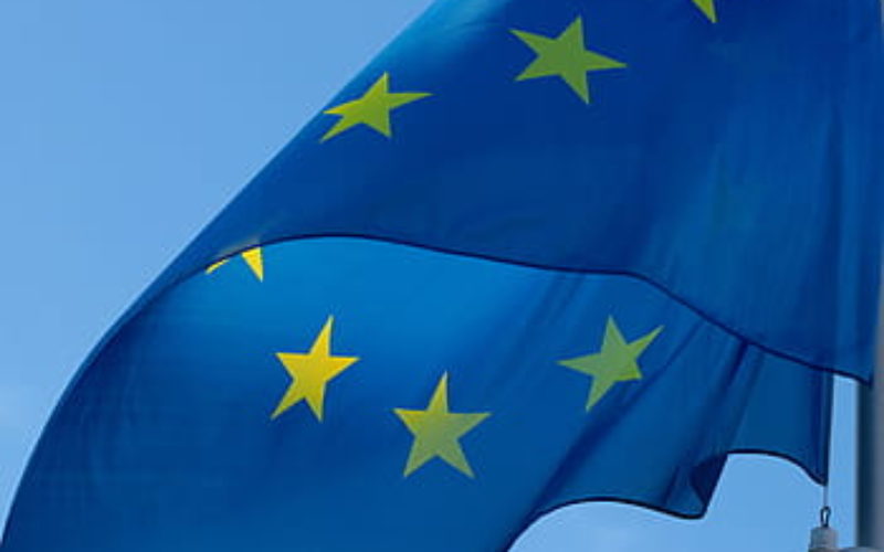 Bosnia: Humanitarian crisis and EU aspirations