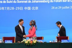 China’s International Partnerships: Pan-African Cooperation 