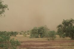 African Continent: Challenges of Climate and Demographic Changes