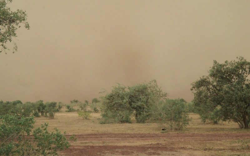 African Continent: Challenges of Climate and Demographic Changes