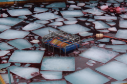 Risk to Arctic Energy Exploration