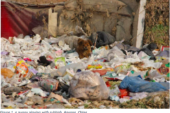 China’s Renunciation of Single-use Plastic